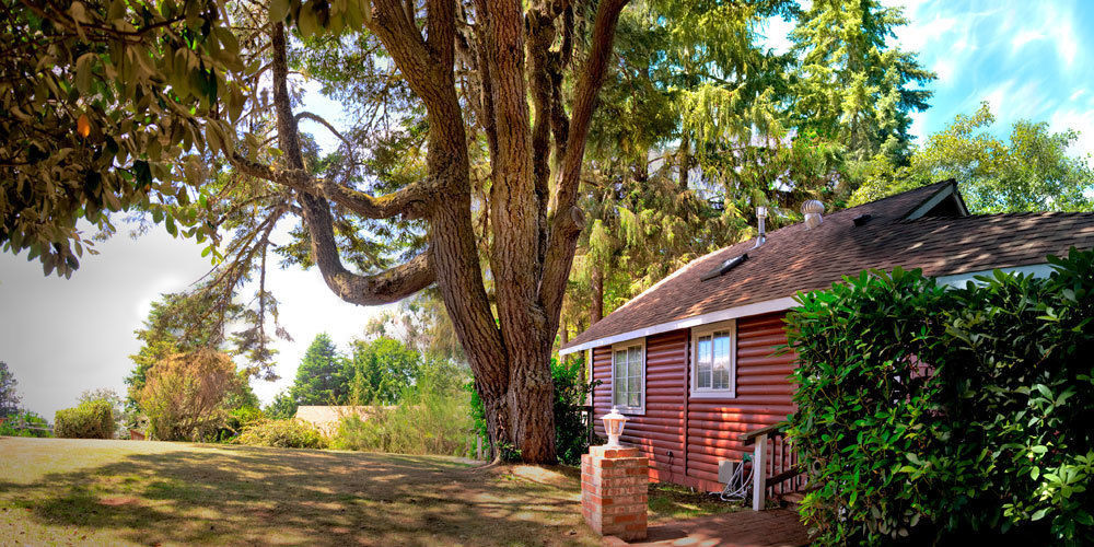 View Crest Lodge Trinidad Εξωτερικό φωτογραφία