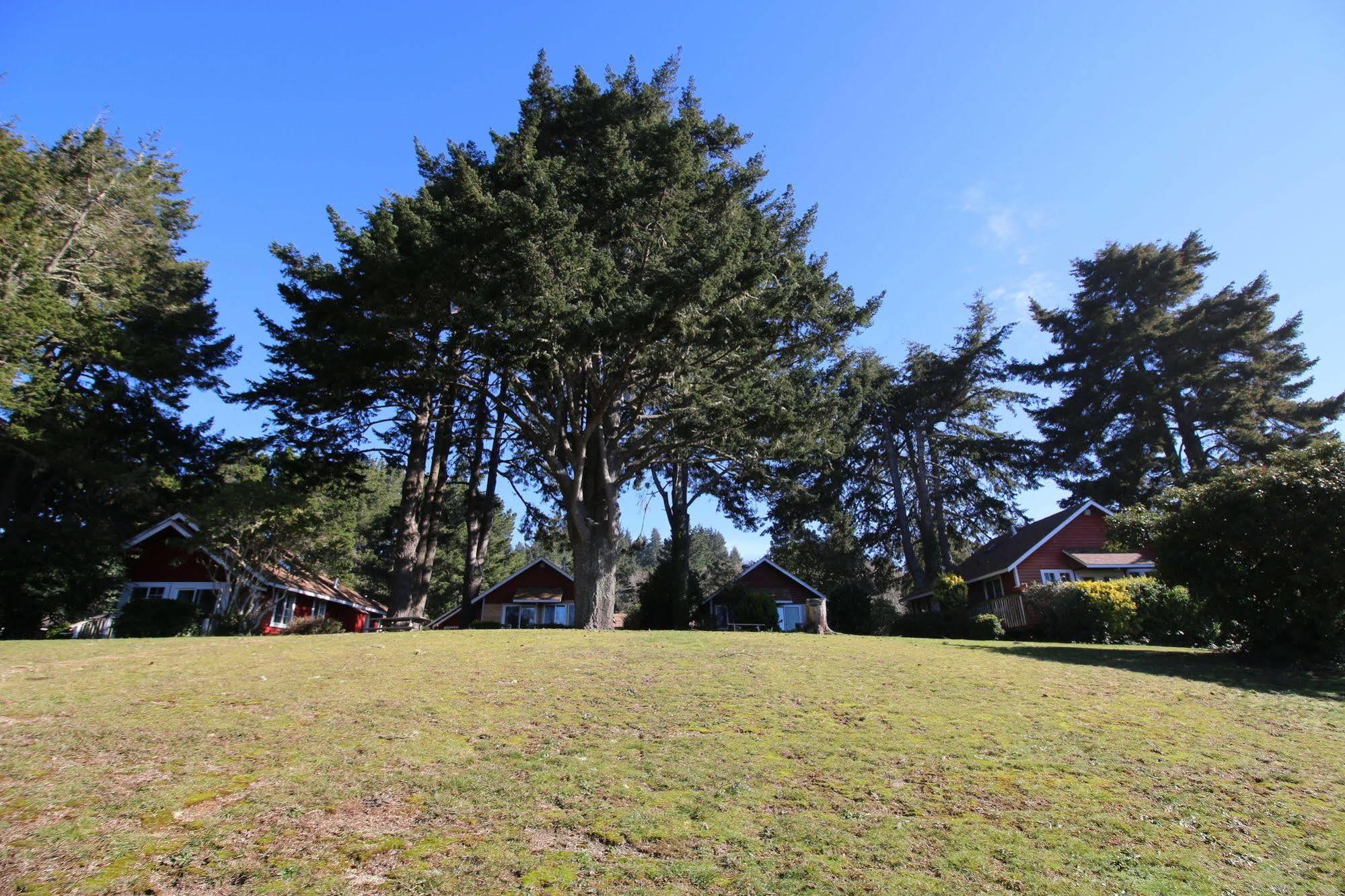 View Crest Lodge Trinidad Εξωτερικό φωτογραφία